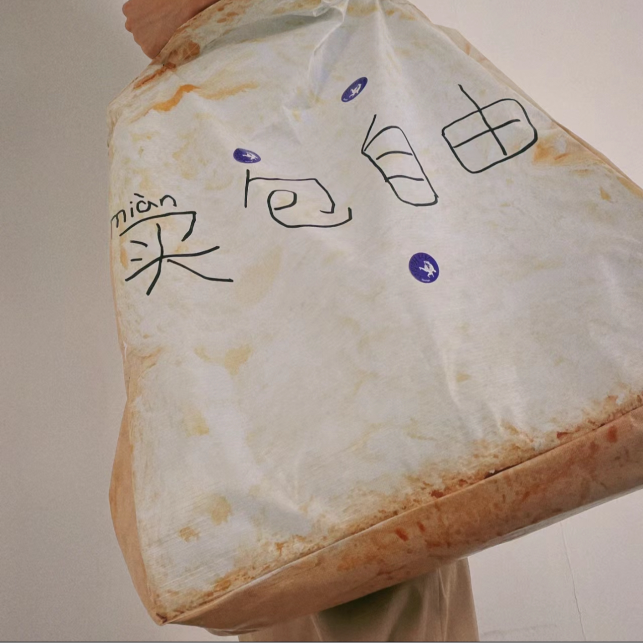 高级感轻奢小众包包4