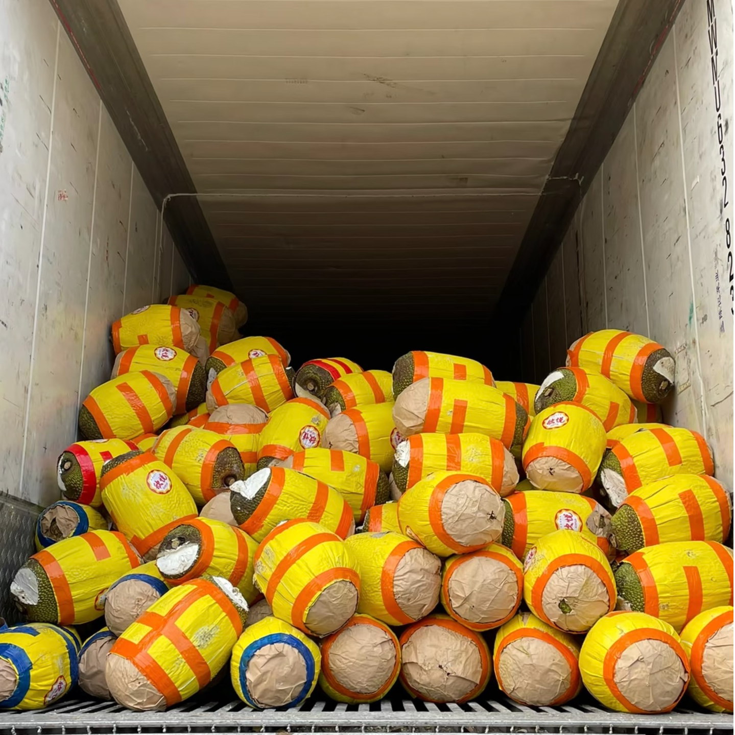 【AAA整果】泰旺越南红肉菠萝蜜整果发货/省内次日达