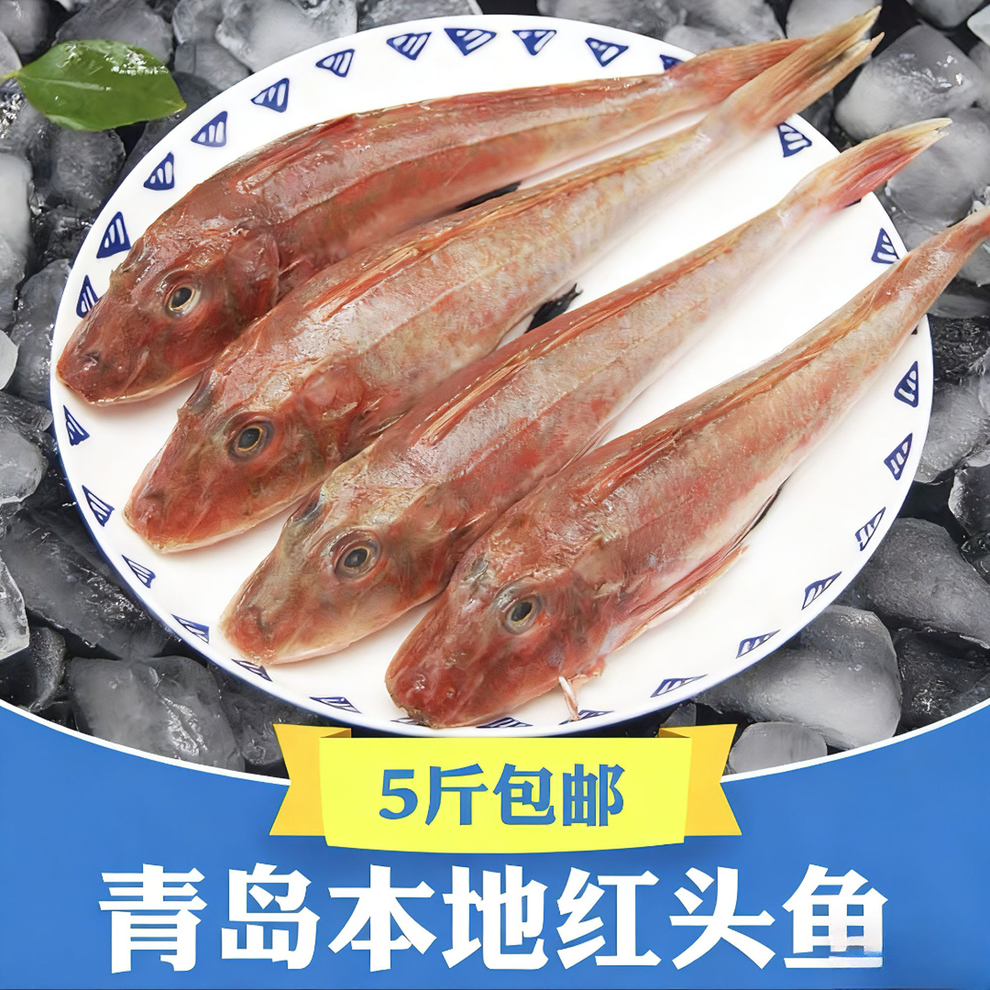 青岛新鲜海捕红头鱼 品质上乘非冻货 5斤顺丰包邮