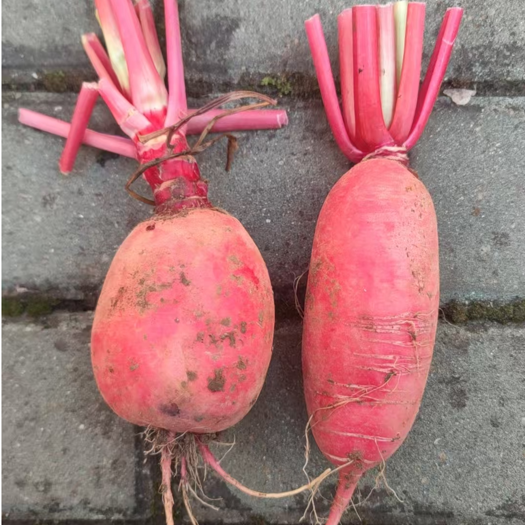 【兵支书助农】农家红萝卜京东包邮