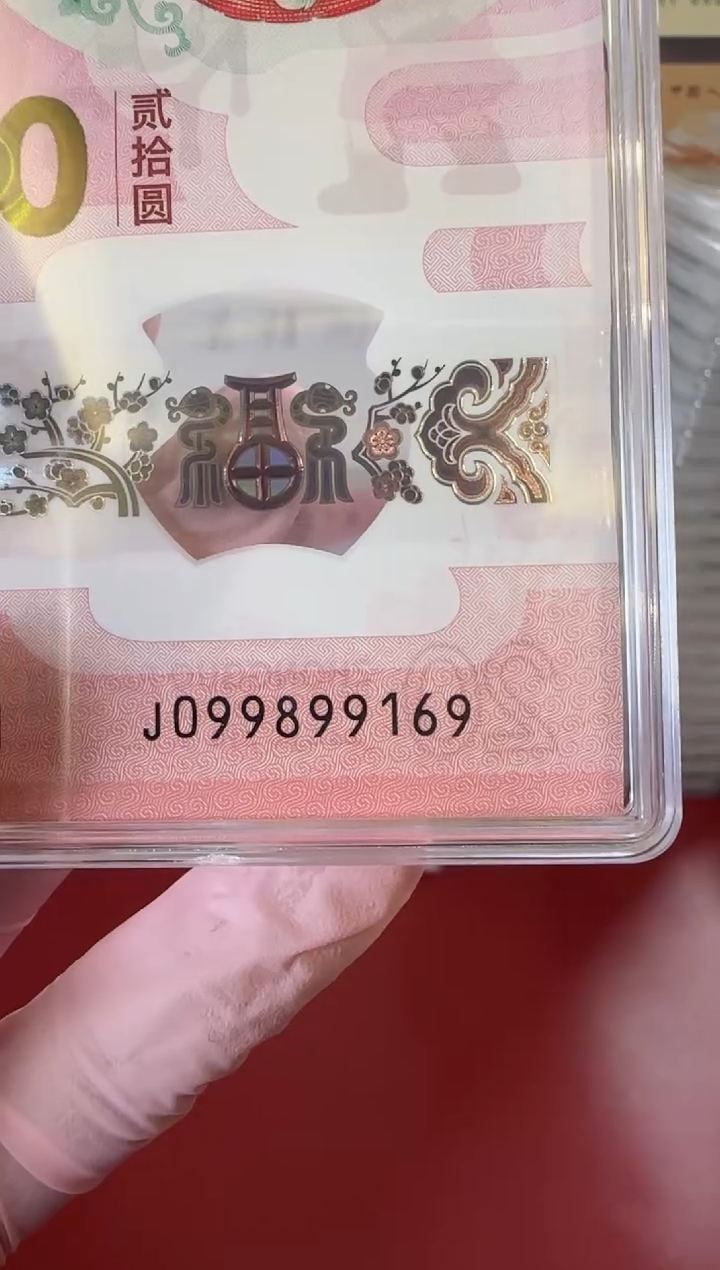 【闪购商品】塑料25蛇钞099899169单张裸