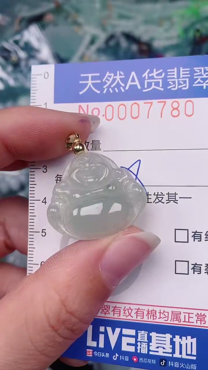 【闪购商品】翡翠颈饰未镶嵌00007780