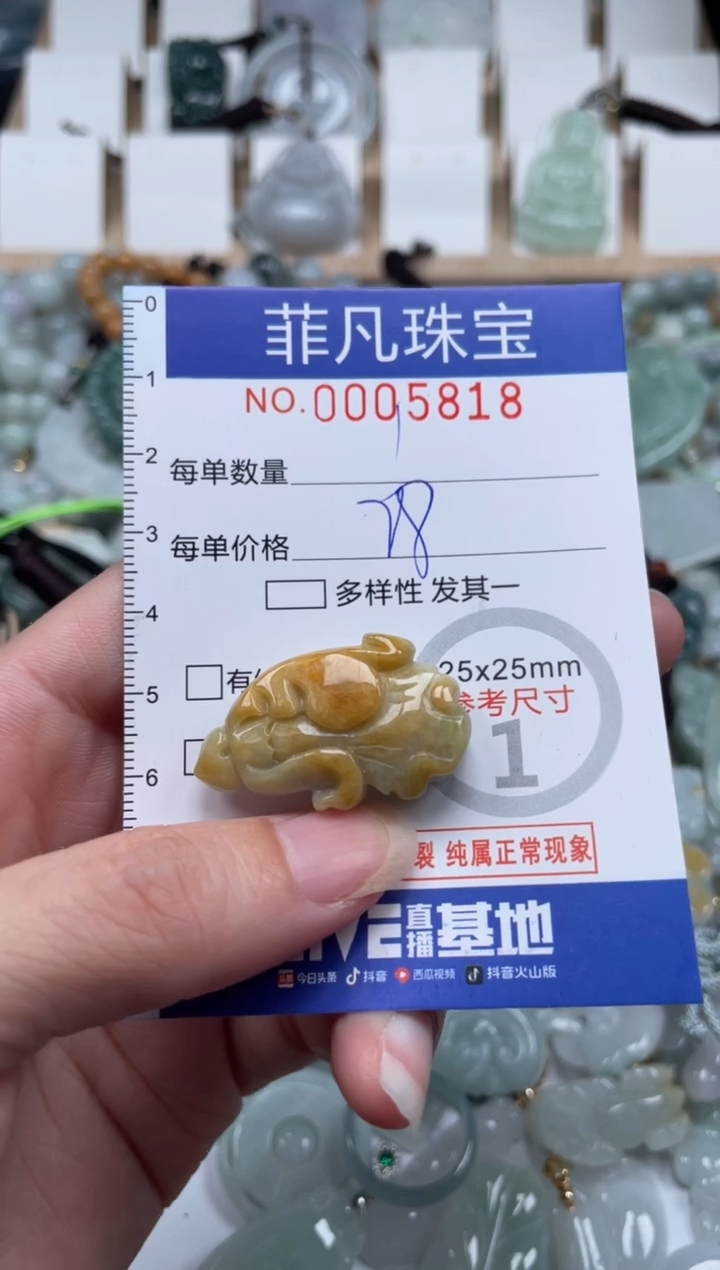翡翠未镶嵌颈饰00..5818