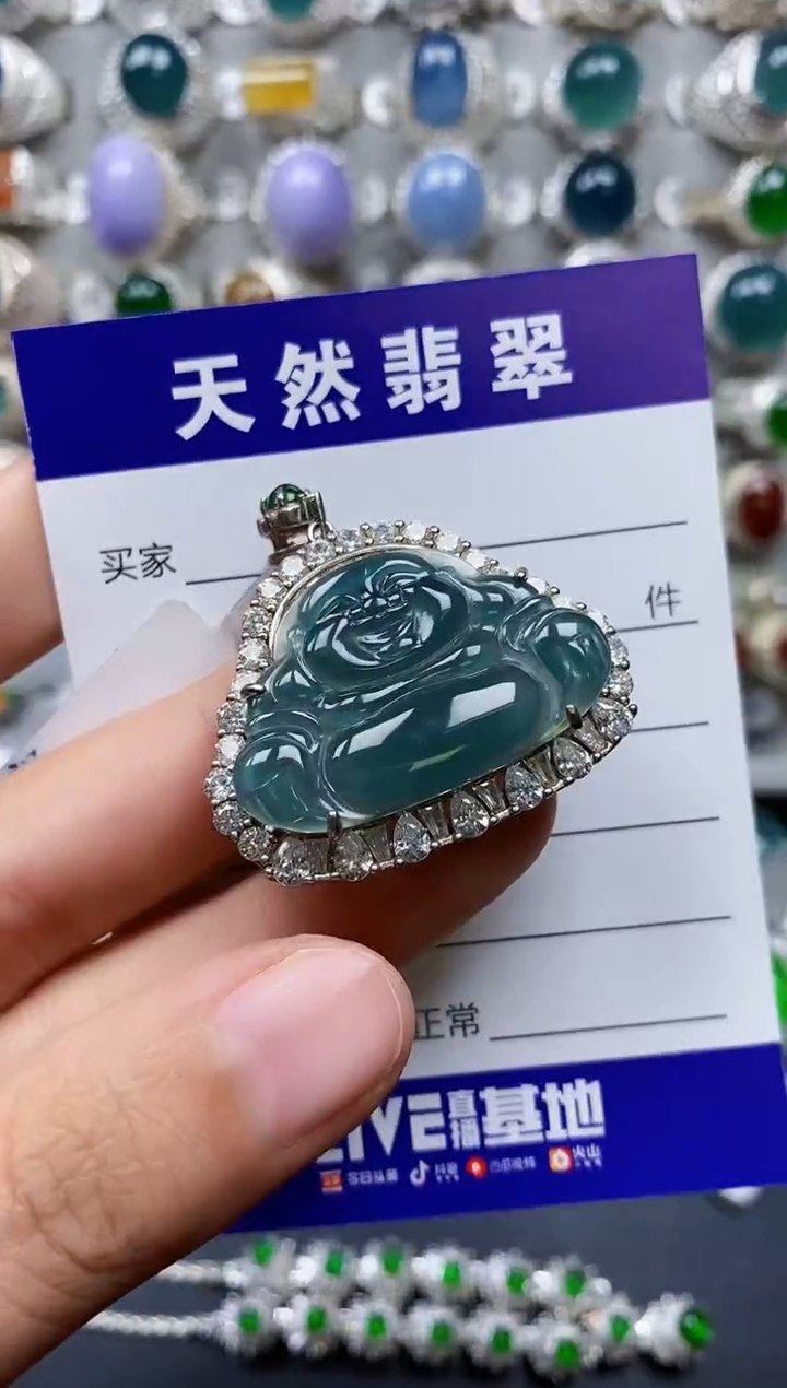 【闪购商品】翡翠颈饰银S925镶嵌0178