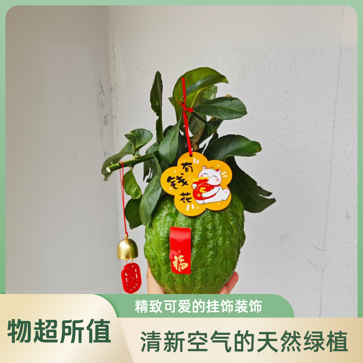 云南香橼果闻香摆件天然清香