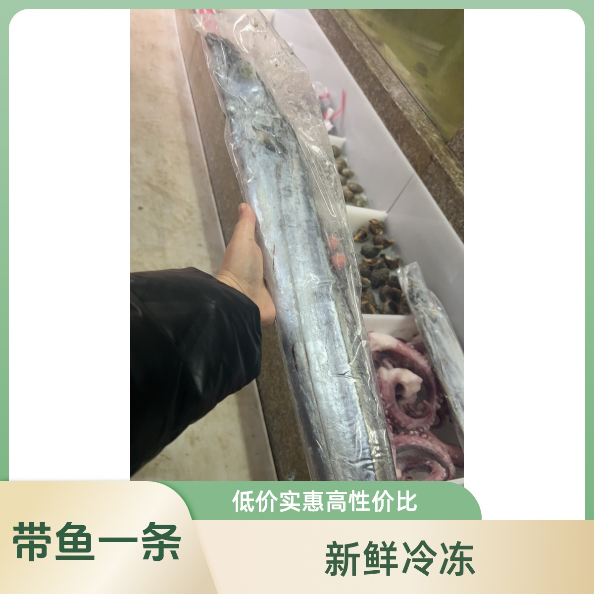 冷冻-带鱼一条600-700g