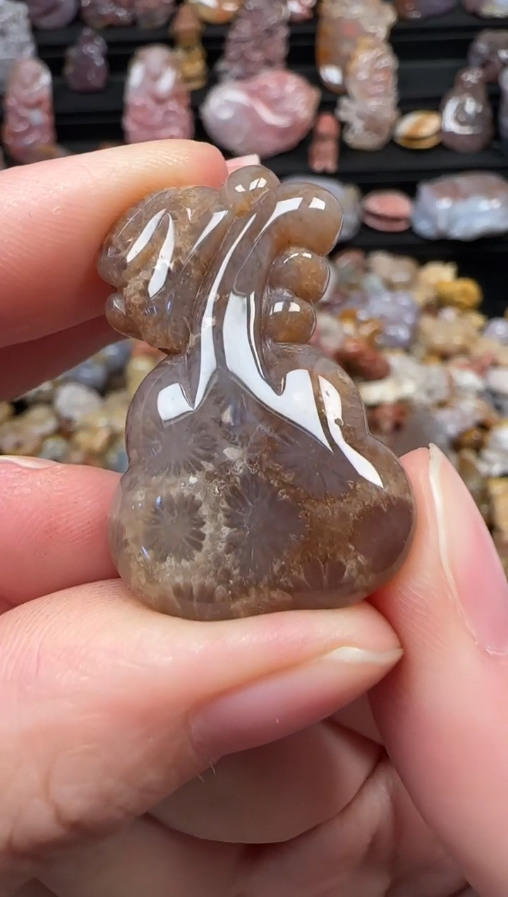 颈饰未镶嵌硅化珊瑚（珊瑚玉）214