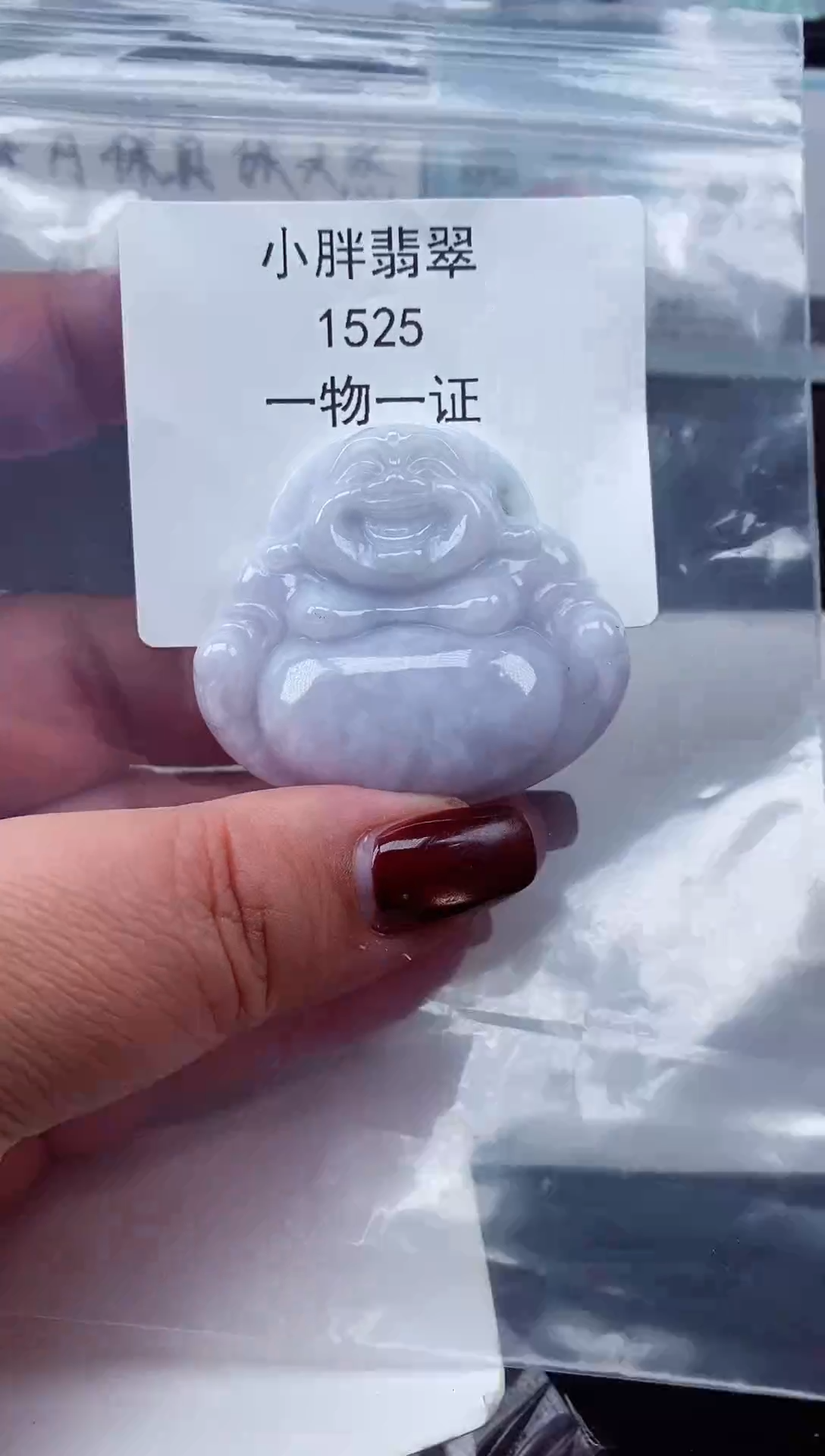 颈饰未镶嵌翡翠缅甸天然A货翡翠1525