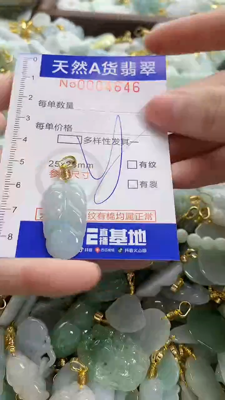 颈饰未镶嵌翡翠天然A货翡翠
