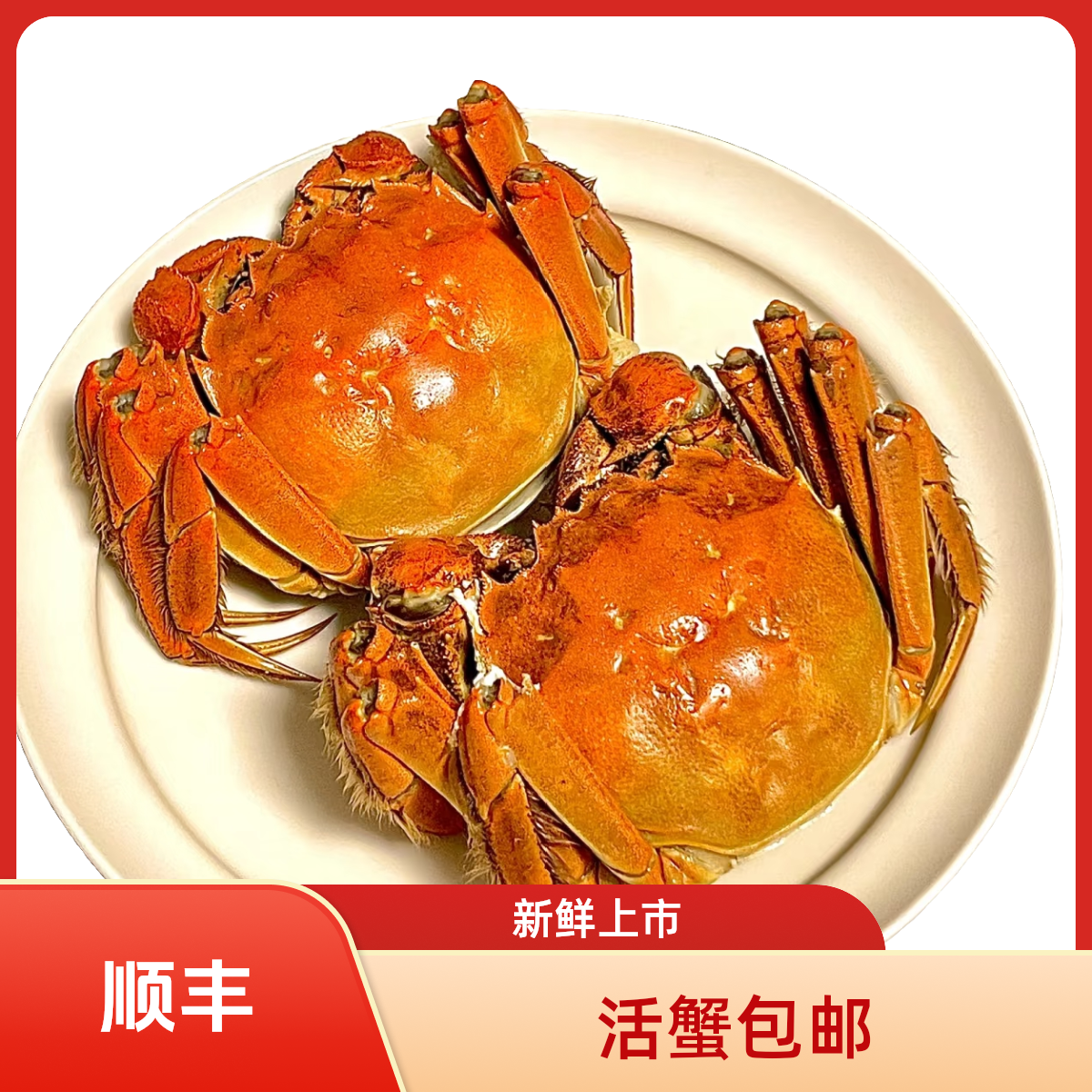 【活蟹】江苏活河蟹母蟹公蟹混搭1.3-1两共16只明天到顺丰海鲜