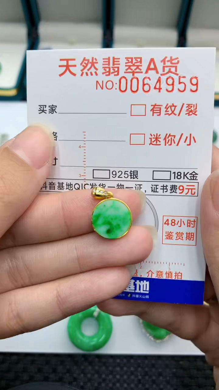 【闪购商品】翡翠颈饰银S925镶嵌            8