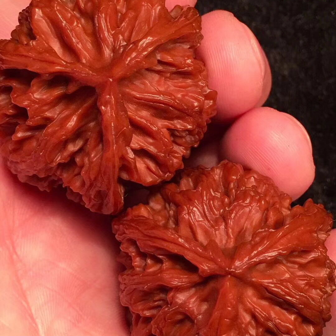 金水文玩直播间链接