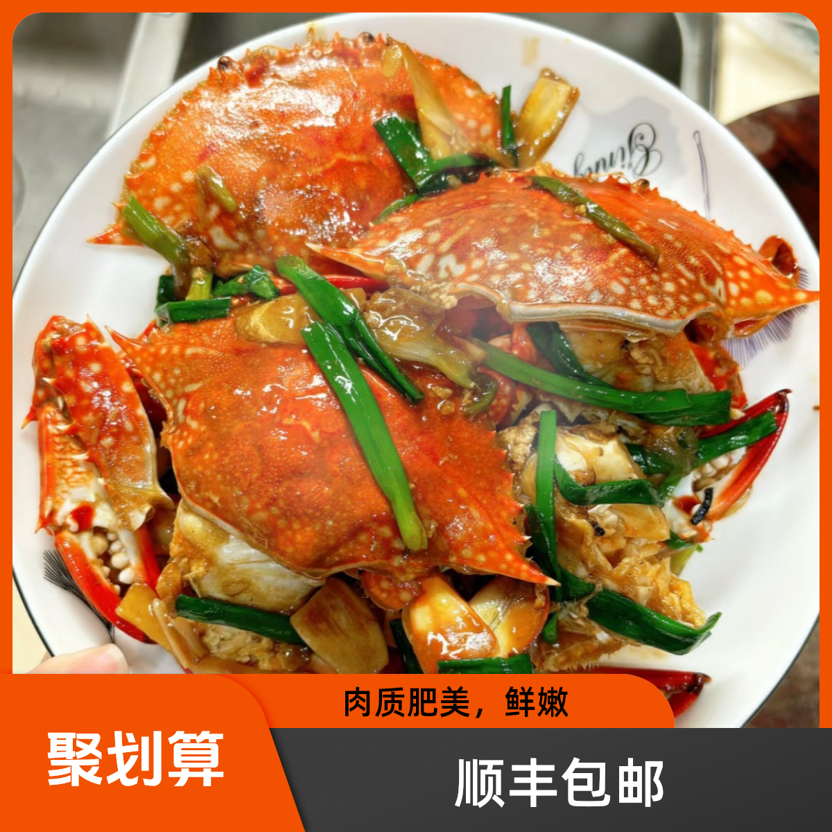 舟山母蟹 鲜活锁鲜 海鲜螃蟹 每只3两左右 10大只重约3斤【冻蟹】