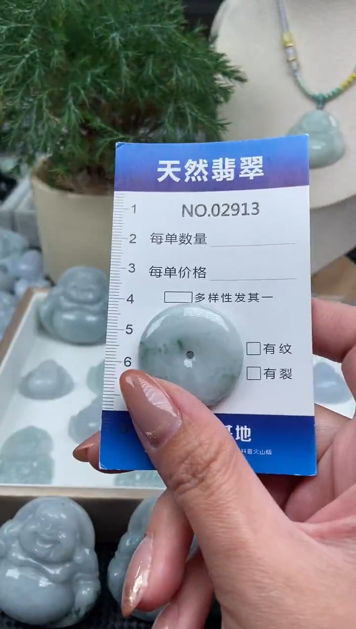 颈饰未镶嵌翡翠纯天然A货翡翠2913