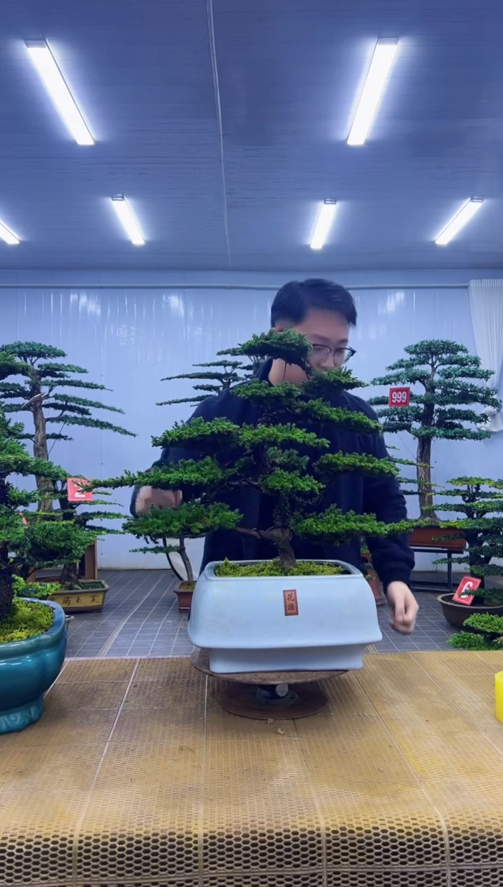 无花朵000000000000