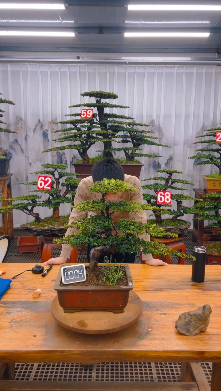 【闪购商品】紫砂精品盆景直播间一物一拍