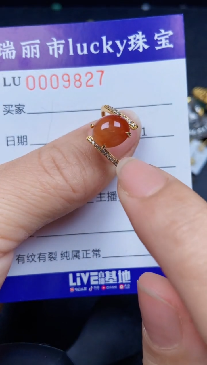 【闪购商品】翡翠颈饰银S925镶嵌9827