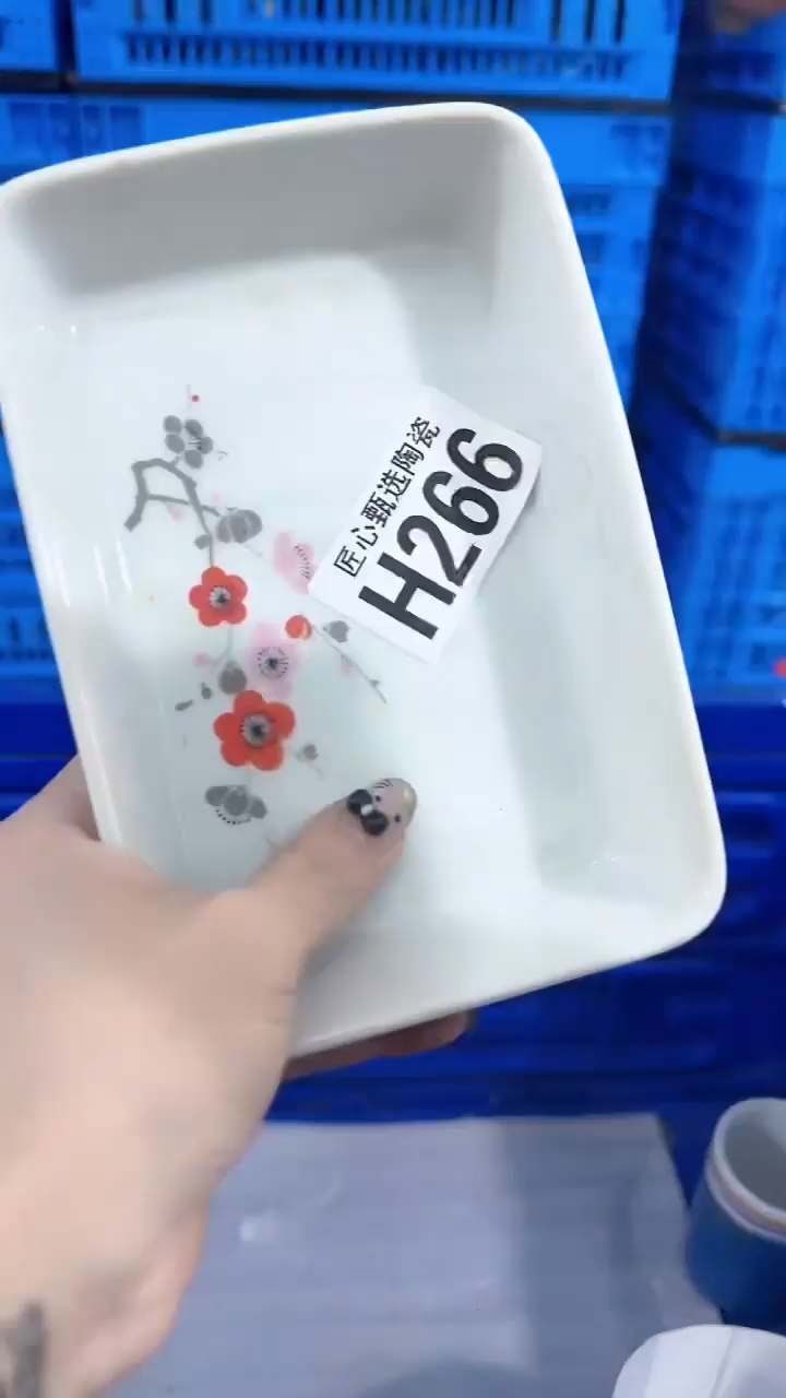 瓷片睿****安         H266