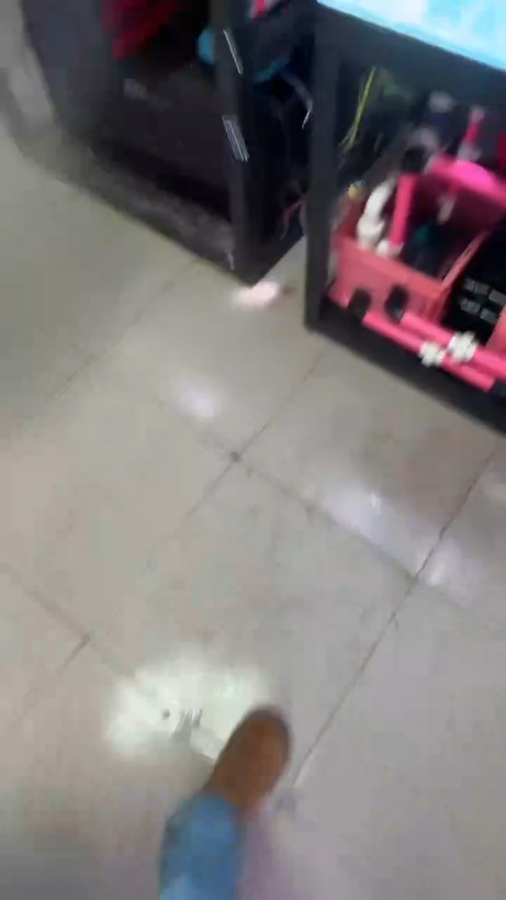 金鱼金鱼精品泰狮一条以直播间为准