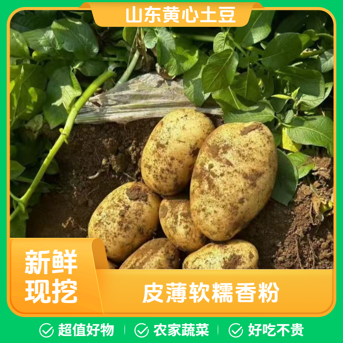 【净重9斤】山东黄皮黄心新土豆土豆同城送新鲜