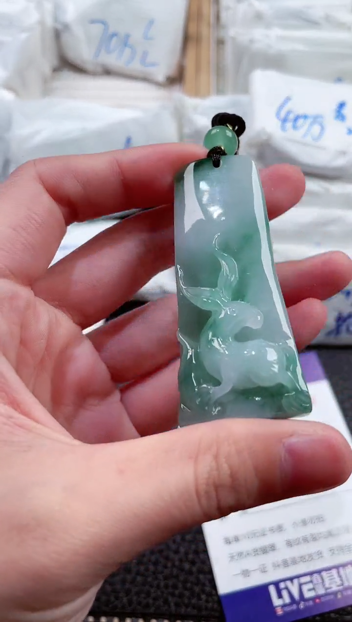 【闪购商品】翡翠颈饰未镶嵌00007093