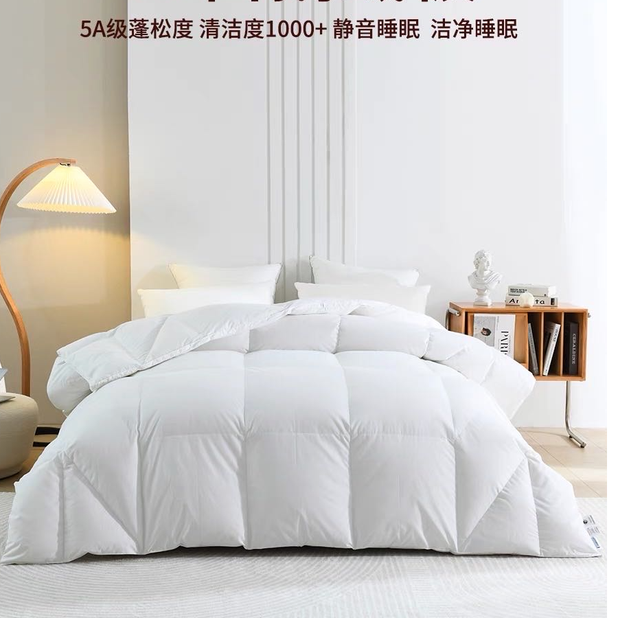 【白玉设计师款】高端孤品冬季羽绒被绒被加厚被子被芯小尺寸 倩