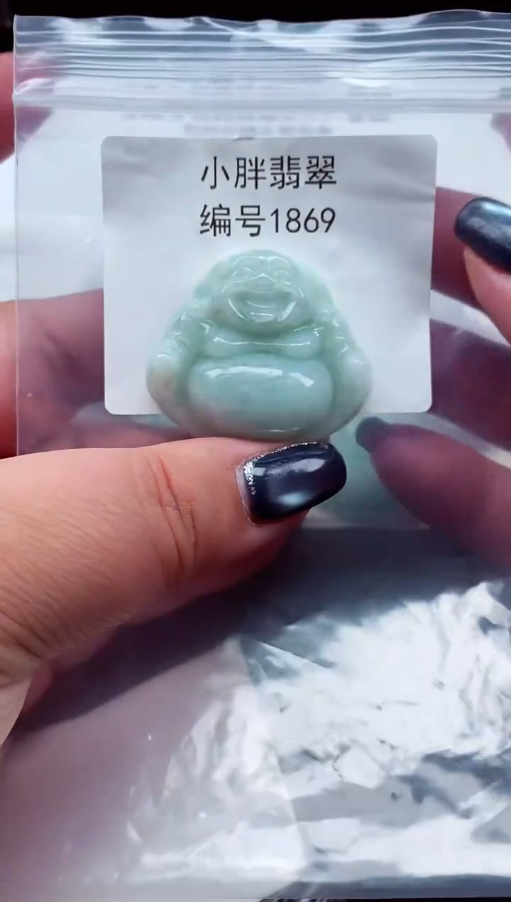 颈饰未镶嵌翡翠缅甸天然A货翡翠1869