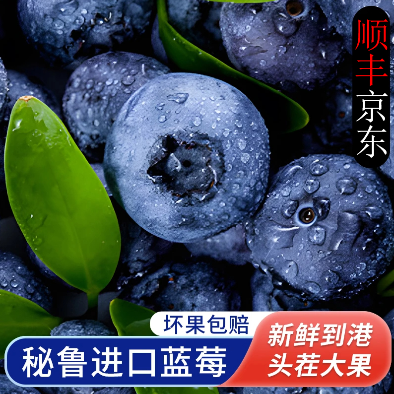 S3【顺丰京东】进口秘鲁蓝莓盒装应当季多汁现摘现发孕妇坏果包赔