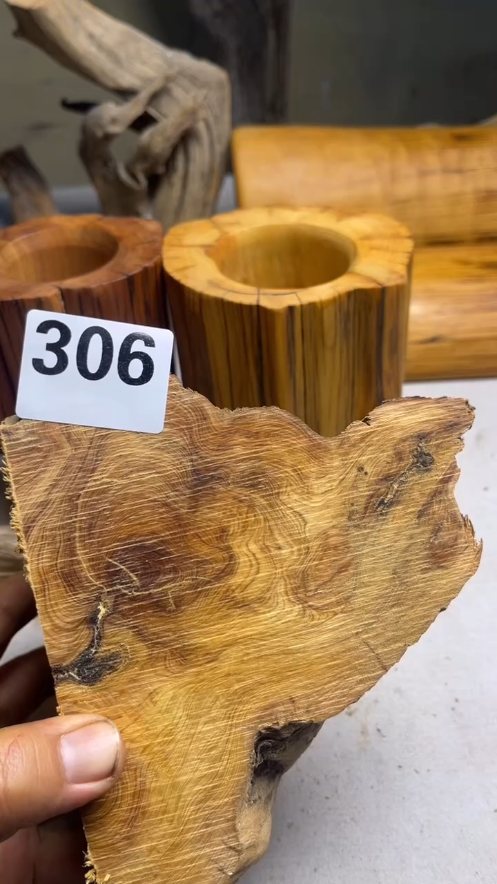 柏木（崖柏）太行崖柏闪电龙胆