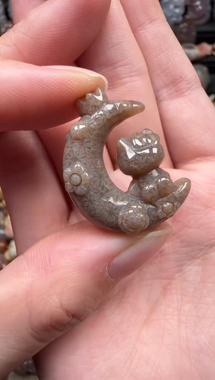 颈饰未镶嵌硅化珊瑚（珊瑚玉）156
