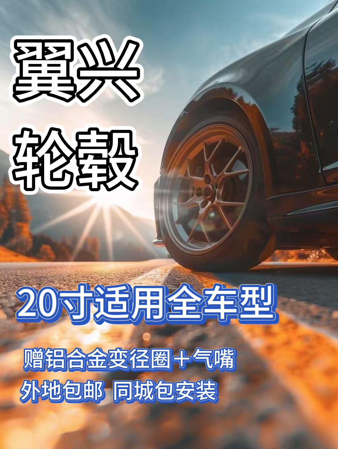 20寸适用全车型（一套）
