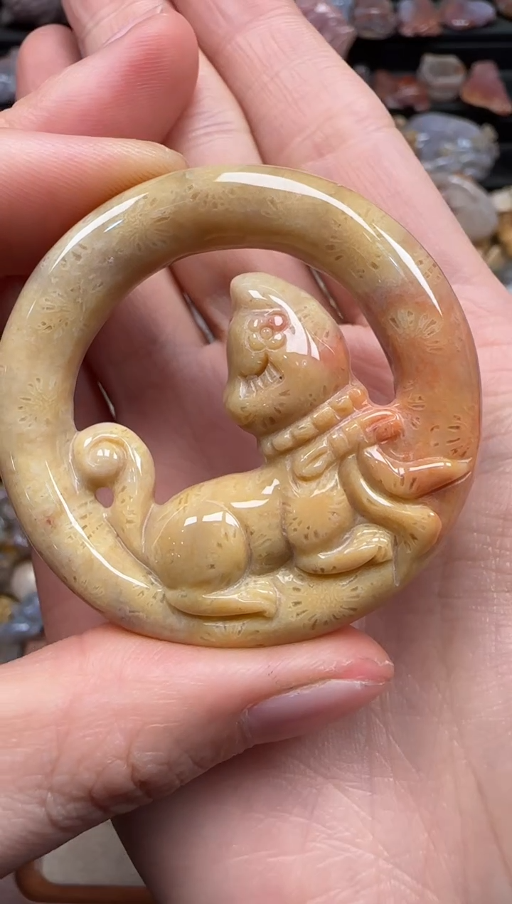 【闪购商品】硅化珊瑚（珊瑚玉）颈饰未镶嵌779