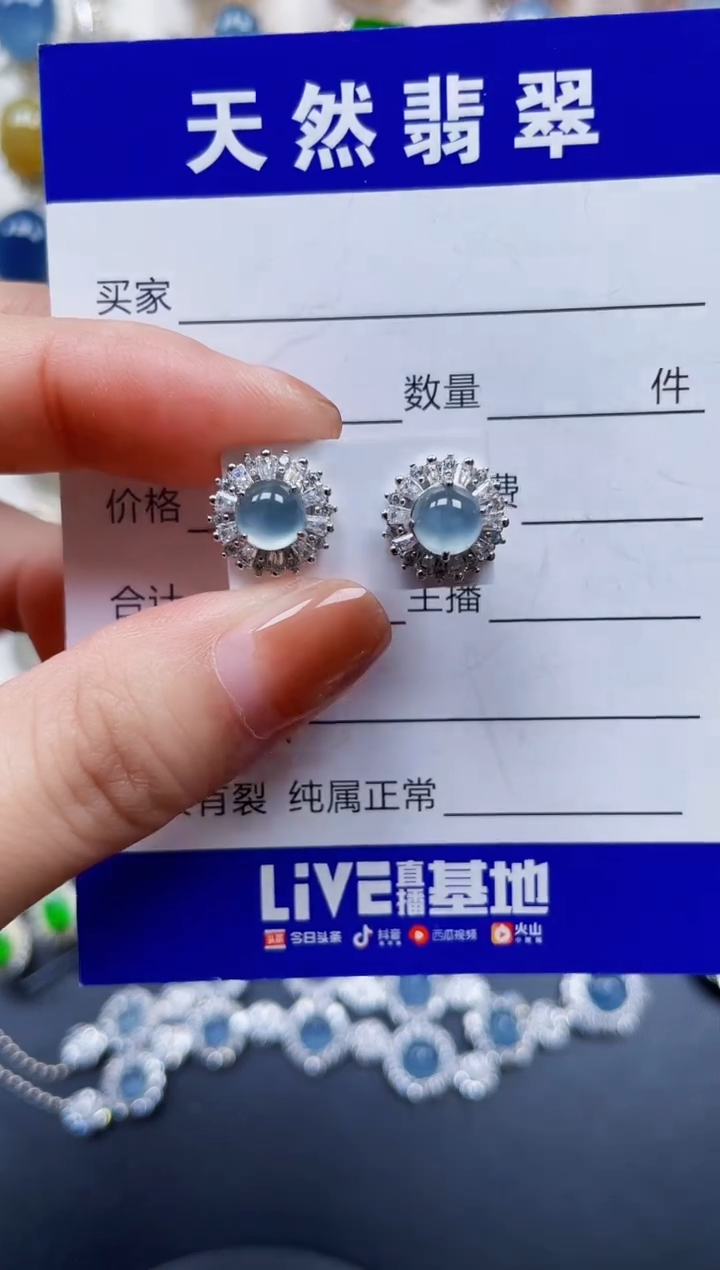 银S925镶嵌翡翠耳饰199