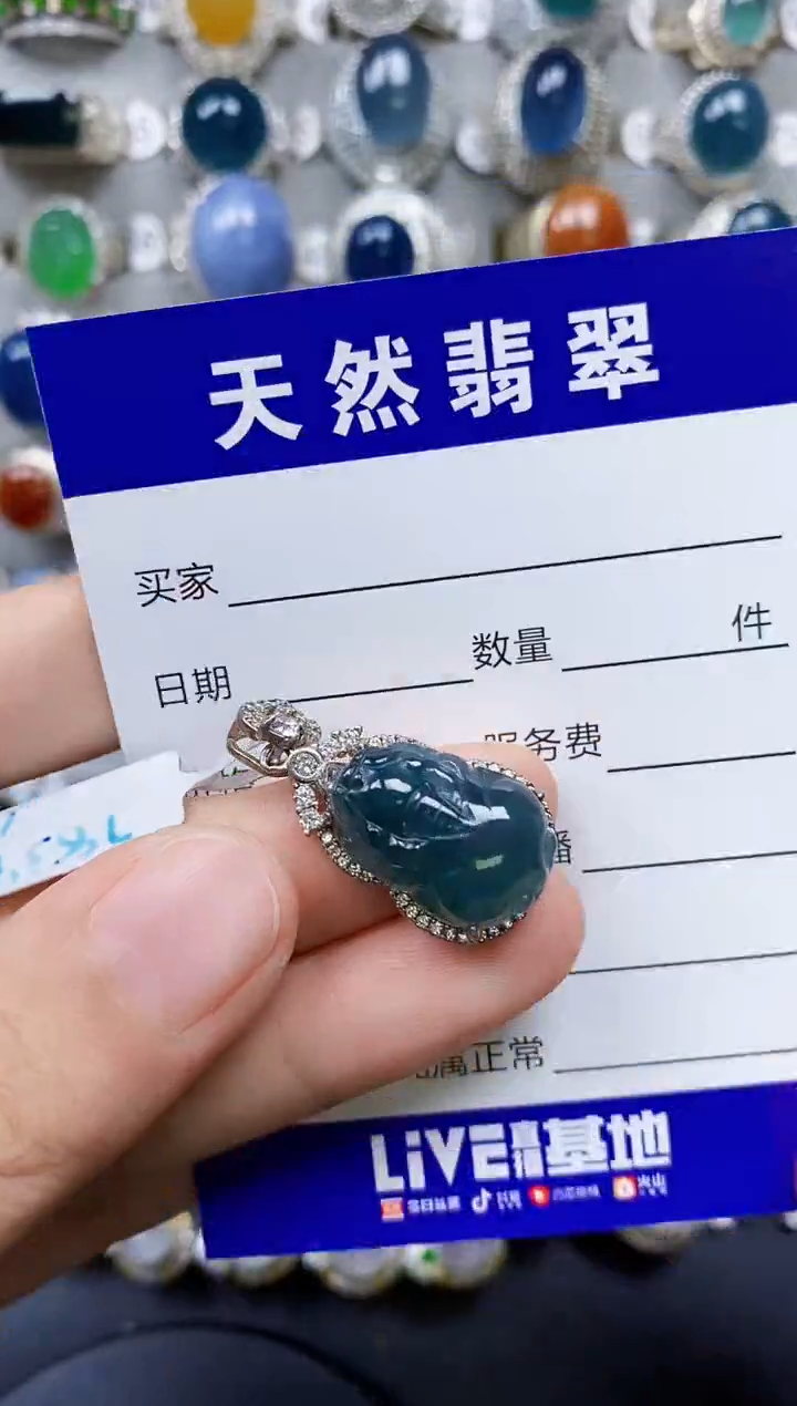 翡翠银S925镶嵌颈饰0077