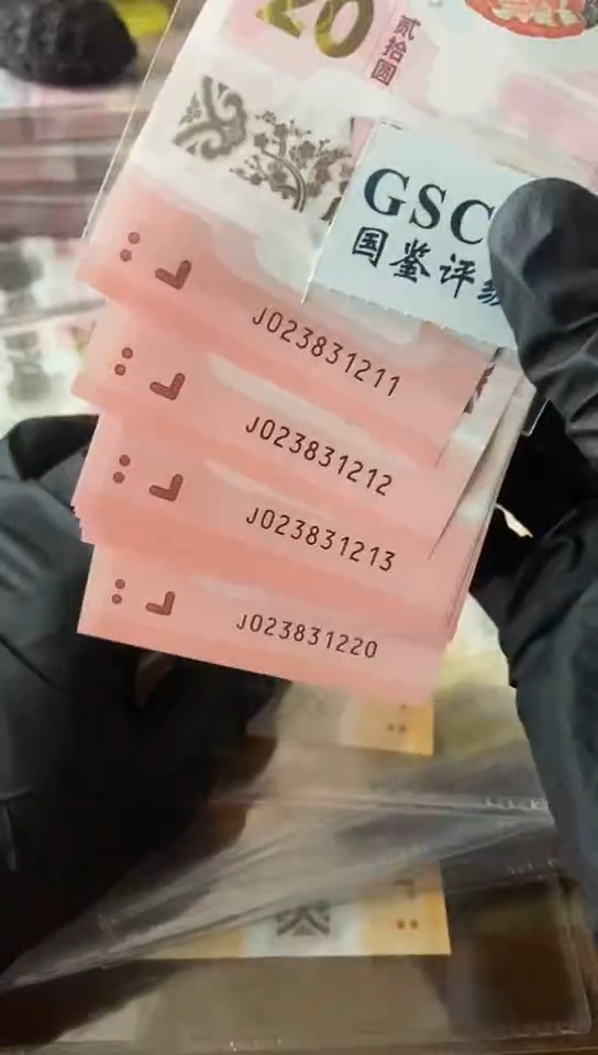 【闪购商品】蛇钞  标十 023831211