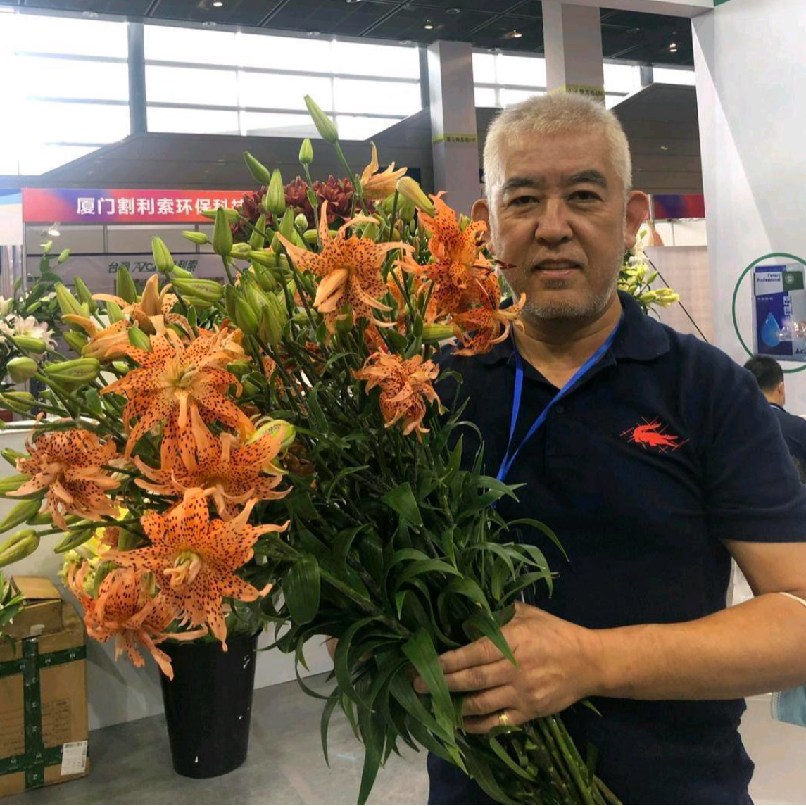 【重瓣兰】20/22 卷单百合种球进口百合种球栽种