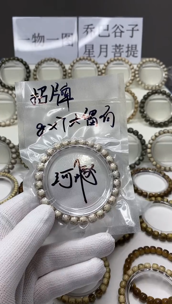 手串星月菩提103  河豚8*7