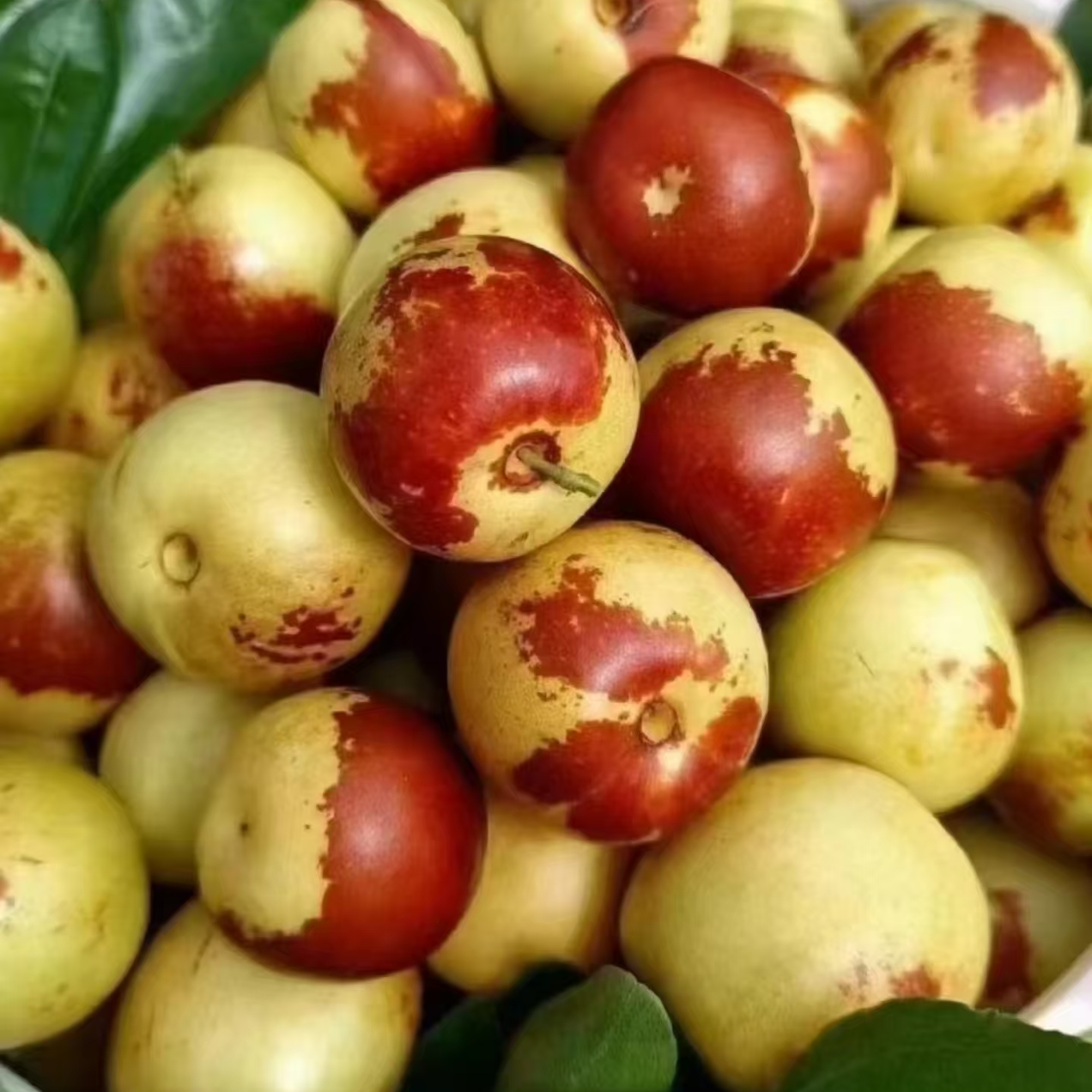 【顺丰】沾化冬枣空运新鲜沙漠冬枣嘎嘣脆甜净2.8斤左右（仅发南京）