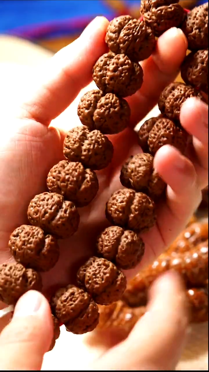 吊坠金刚菩提玺呈枝蓝•喜哥自玩赤道五面21mm