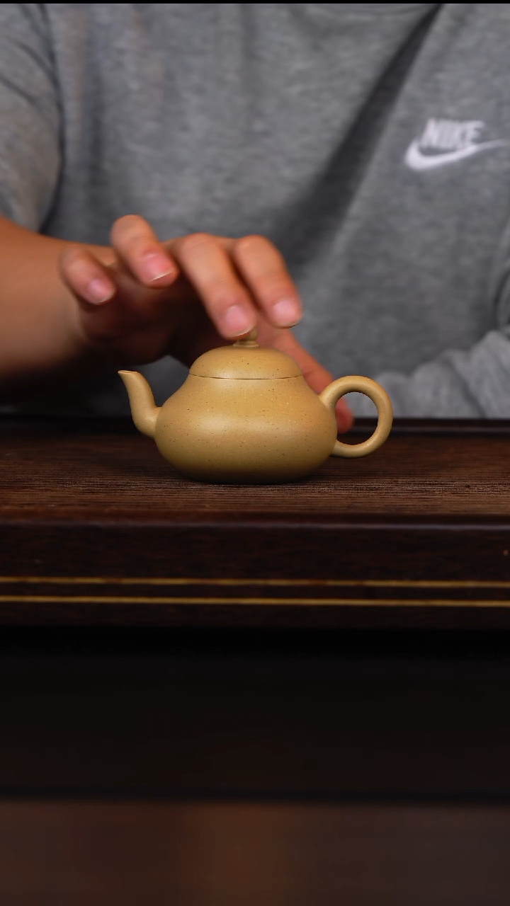 茶壶紫砂K****k大水潭本绿矮梨