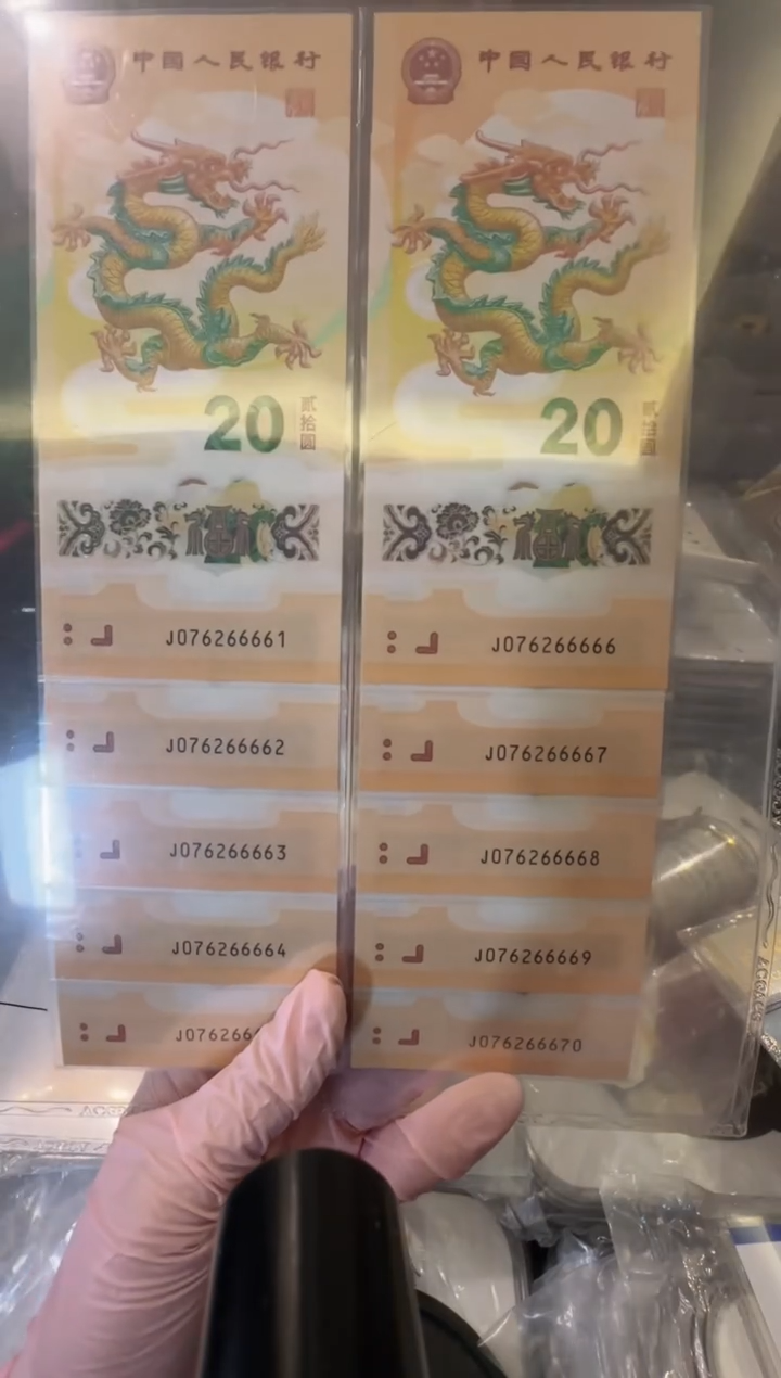 【闪购商品】塑料2025龙钞标十啊啊啊啊啊啊啊