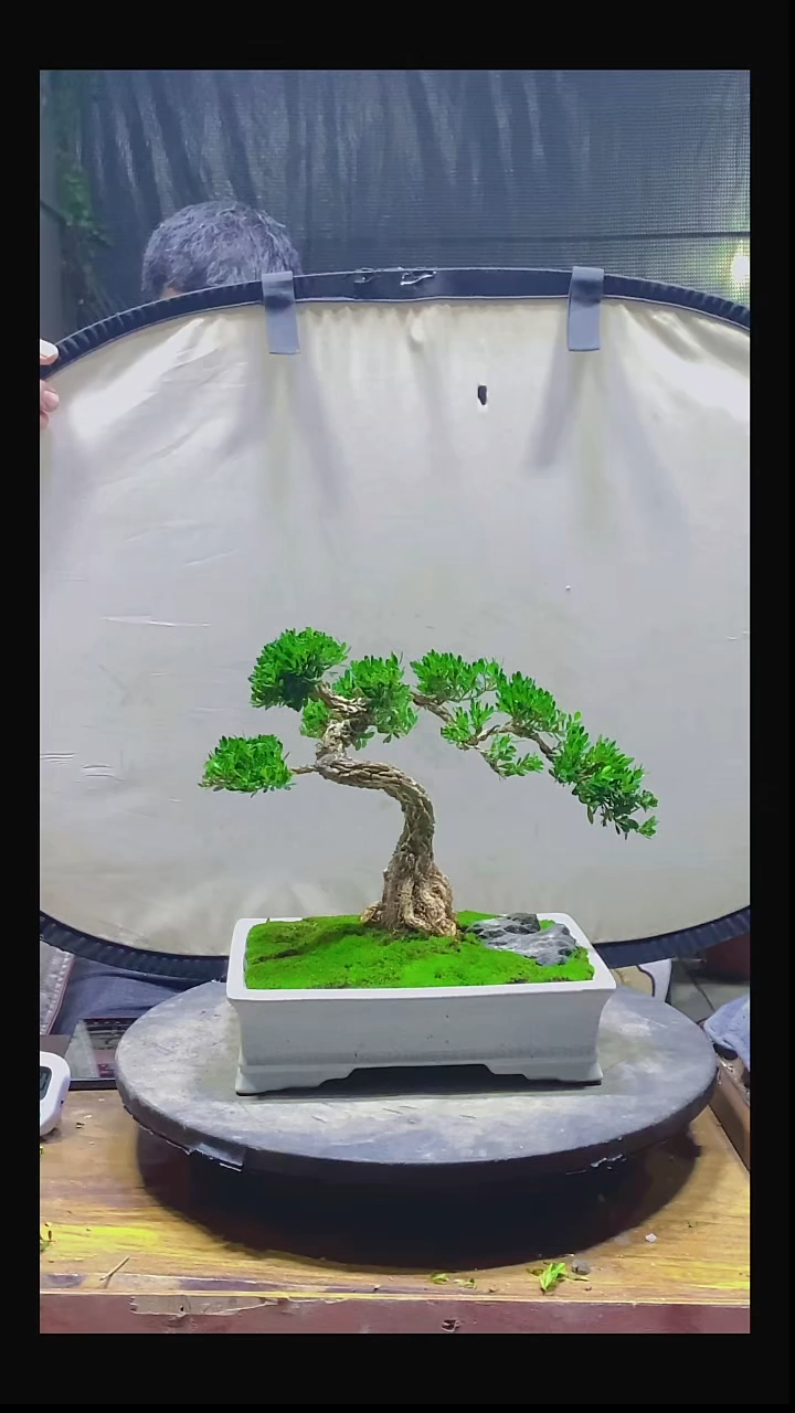 完全开放?****✨1111111