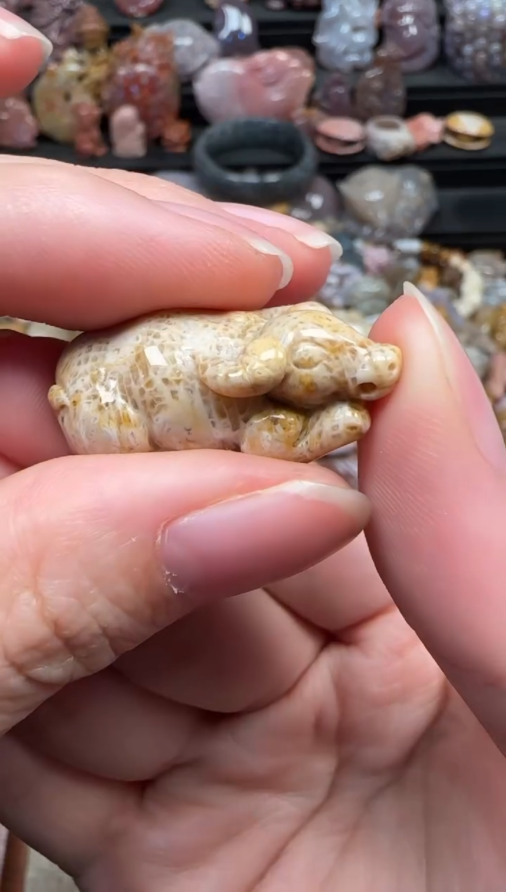 颈饰未镶嵌硅化珊瑚（珊瑚玉）260