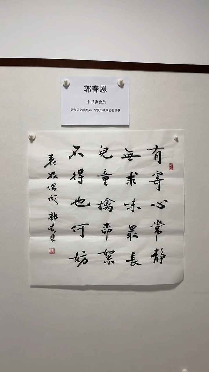 书法书法郭春恩作品