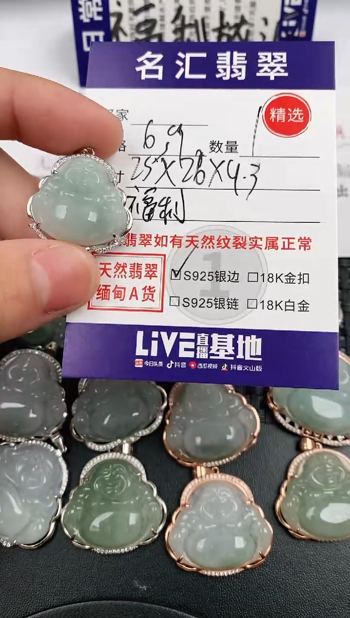 翡翠银S925镶嵌颈饰·