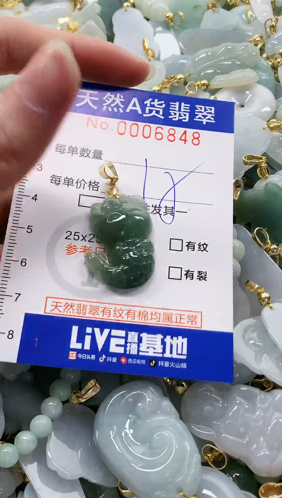 颈饰未镶嵌翡翠纯天然a货翡翠