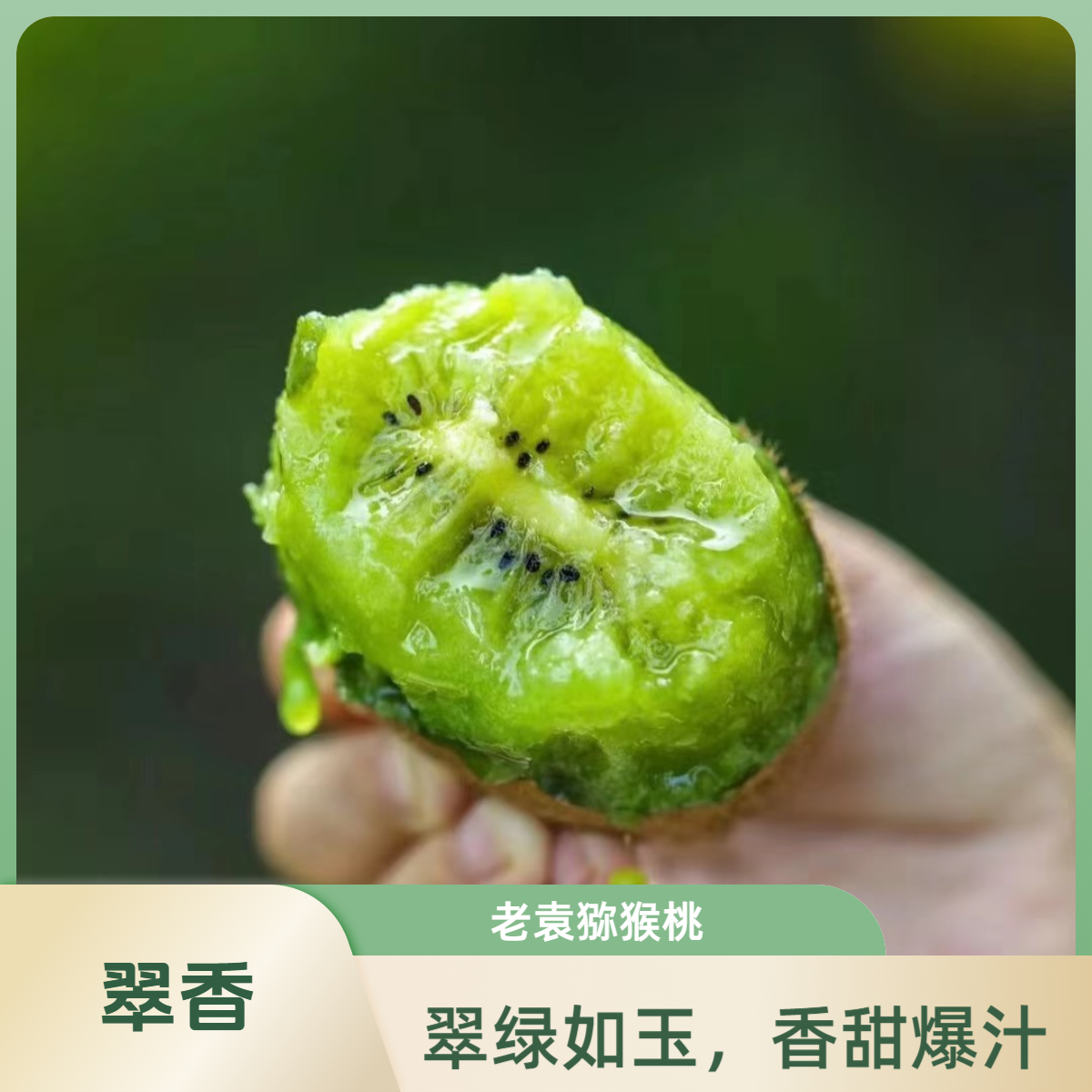 【家庭装】老袁家正宗陕西翠香猕猴桃