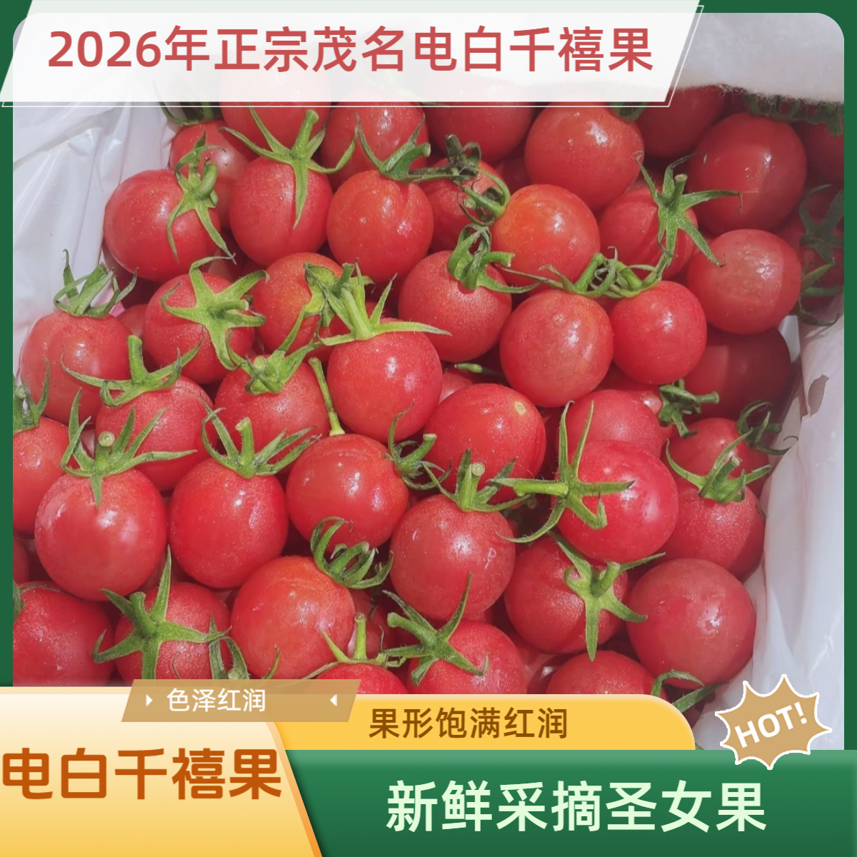 电白千禧圣女果爆甜小番茄现摘现发樱桃番茄时令水果整箱批发
