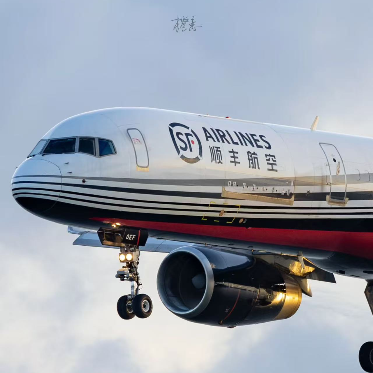 【顺丰空运】 需要升级空运的姐妹联系客服后拍下