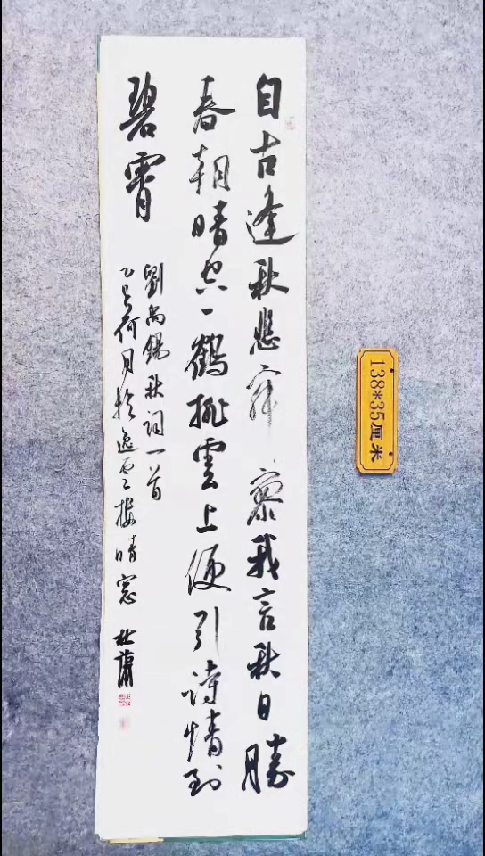 书法098中书协 杜潇书法放漏